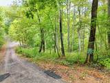 Lot 21 Skyview - Photo 4