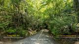 1621 Granny Squirrel Drive - Photo 5