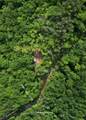 1621 Granny Squirrel Drive - Photo 9