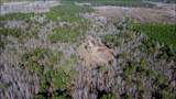 6975 Highway 80 - Photo 1