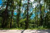 Lot 4 Furey Drive - Photo 1