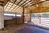 1157 Norton Road - Photo 6