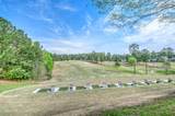 205 Tranquility Lane - Photo 11