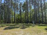 405 Palustris Court - Photo 10
