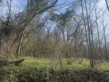 203 Peter Street - Photo 2