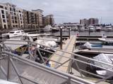 10 Harnett Street - Photo 3