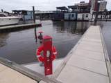10 Harnett Street - Photo 7
