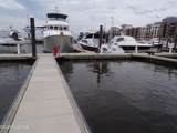 10 Harnett Street - Photo 8
