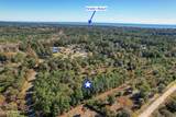 2021 Sea Lavender Road - Photo 12