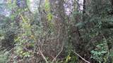 0.31 Ac Jenkins Lane - Photo 3