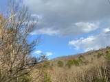 Lot 10 Ivy Log Road - Photo 14