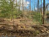 Lot 10 Ivy Log Road - Photo 4