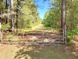 0 Lukeath Carter Drive - Photo 16
