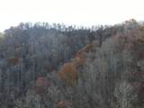 SR 1218 Pinhook Road - Photo 6