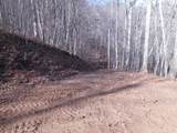 SR 1218 Pinhook Road - Photo 8