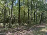 4073 Possum Track Road - Photo 13