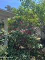 502 Pine Cone Lane - Photo 31