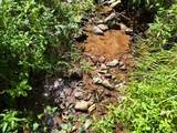 145 Acre Bell - Photo 10