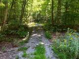 145 Acre Bell - Photo 12
