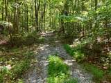 145 Acre Bell - Photo 13
