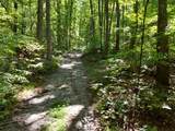 145 Acre Bell - Photo 14
