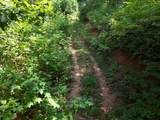 145 Acre Bell - Photo 31