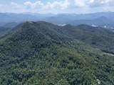 145 Acre Bell - Photo 35