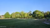 176 Red Fox Run Drive - Photo 12