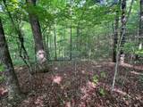 Lot 1 Weece Mountain - Photo 3