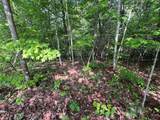 Lot 1 Weece Mountain - Photo 5