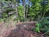 Lot 1 Weece Mountain - Photo 6