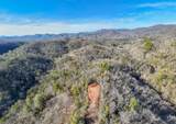 430 Live Oak Terrace - Photo 10