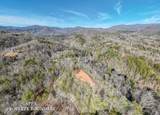 430 Live Oak Terrace - Photo 11