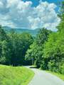 Lot 15 View Ridge Trail - Photo 11