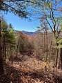 Lot 15 View Ridge Trail - Photo 5