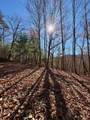 Lot 15 View Ridge Trail - Photo 6