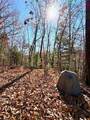 Lot 15 View Ridge Trail - Photo 8