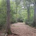 45.22 Ac Atlantic Breeze Drive - Photo 2