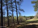 358 Flat Branch Road - Photo 5