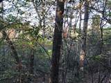 19D&E Braves Landing - Photo 4