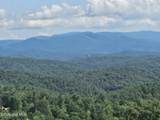 31 Acres Upper Bear Paw Road - Photo 1