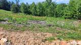 31 Acres Upper Bear Paw Road - Photo 11