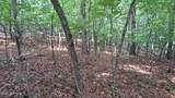 31 Acres Upper Bear Paw Road - Photo 12