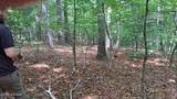 31 Acres Upper Bear Paw Road - Photo 13