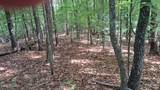 31 Acres Upper Bear Paw Road - Photo 14