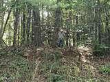 31 Acres Upper Bear Paw Road - Photo 15