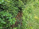 31 Acres Upper Bear Paw Road - Photo 2