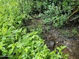 31 Acres Upper Bear Paw Road - Photo 4