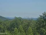 31 Acres Upper Bear Paw Road - Photo 7