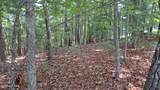 31 Acres Upper Bear Paw Road - Photo 9